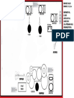 ©© Stage Plan