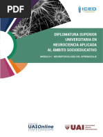 Neuropsicología Del Aprendizaje