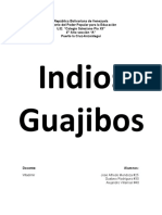 Indios Guajibos