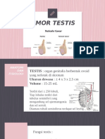 Testicular Tumor