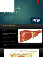 Anatomia Del HIGADO