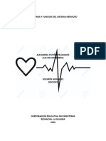 Leccion 2 Anatomia y Fisiologia Cuello y Torax Procedimientos Especiales