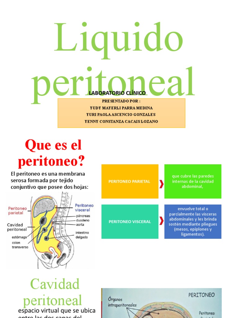 Líquido Peritoneal: Qué Es, Composición, Funciones, Cultivo, Análisis ...
