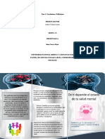 folletoo P Y P Salud mental (3) (1)