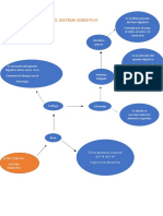 Flujograma Del Sistema Digestivo