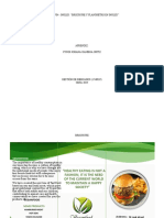 Ap11 - Ev04 - Ingles: "Brochure Y Planímetro en Inglés"