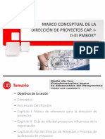 Marco Conceptual Cap I, II y III PMBOK 6ta PDF