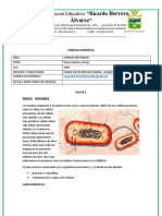 Naturales 2304 Taller4