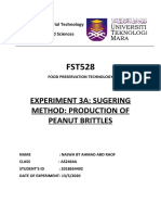 Exp3a-Production of Peanut Brittles