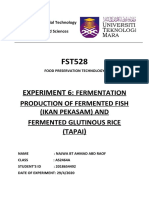 Exp6 Fermentation of Ikan and Tapai