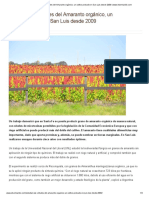 Estudian las virtudes del Amaranto orgánico, un cultivo probado en San Luis desde 2009 _ www.elsemiarido.com.pdf