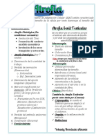 Atrofia Anatomia Patologica