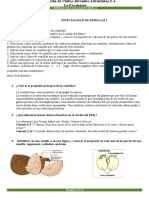 Coordinación de Clubes Juveniles Adventistas Z-4 - Semillas I