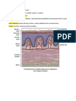 Oral Mucosa