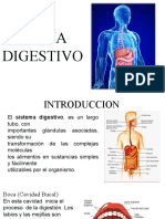 Presentación de Sistema Digestivo