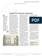 Gate For Sensory Responses