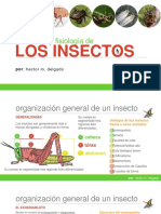 02 - ESTRUCTURA Y FISIOLOGÍA DE LOS INSECTOS.pdf