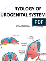 Embryology of Urogenital System