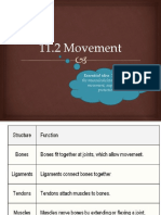 11.2 Movement: Essential Idea: The Roles of