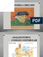 Anatomia Urechii