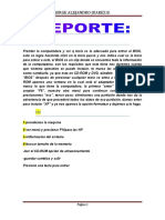 REPORTE DE PRACTICAS[1]