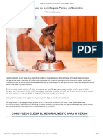 Mejores marcas de comida para Perros en Colombia 2020 _ Doggys Market.pdf