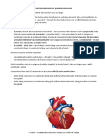 Anatomie