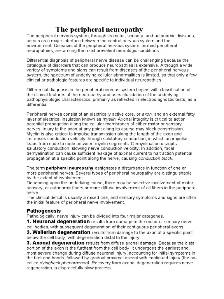 Understanding Peripheral Neuropathy | PDF | Peripheral Neuropathy | Myelin