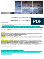 Generalidades Anatomia