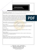 MASAJE PROFESIONAL-min PDF