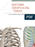 Anatomía topográfica del tórax.pptx