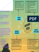 Alcance Del Encargo Del Revisor Fiscal