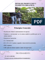 2 - Requisitos de Produccion