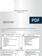 Examen Practic La Patologie 1nj