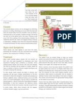 BrachialPlexus PDF