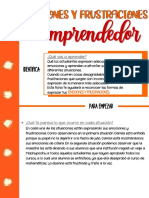 Emociones y Frustraciones de Un Emprendedor PDF