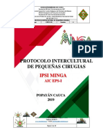45 PROTOCOLO PEQUEÑA CIRUGIA Intercultural PDF