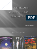 El Misterioso Mundo de Las Tarántulas 2015