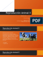 Reproducción Animal II