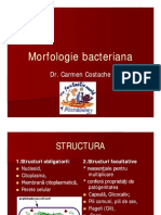 Morfologie bacteriana 