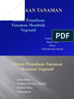 Pemuliaan Tanaman - Kelompok 4