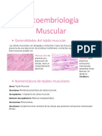 Clase 6 Histo