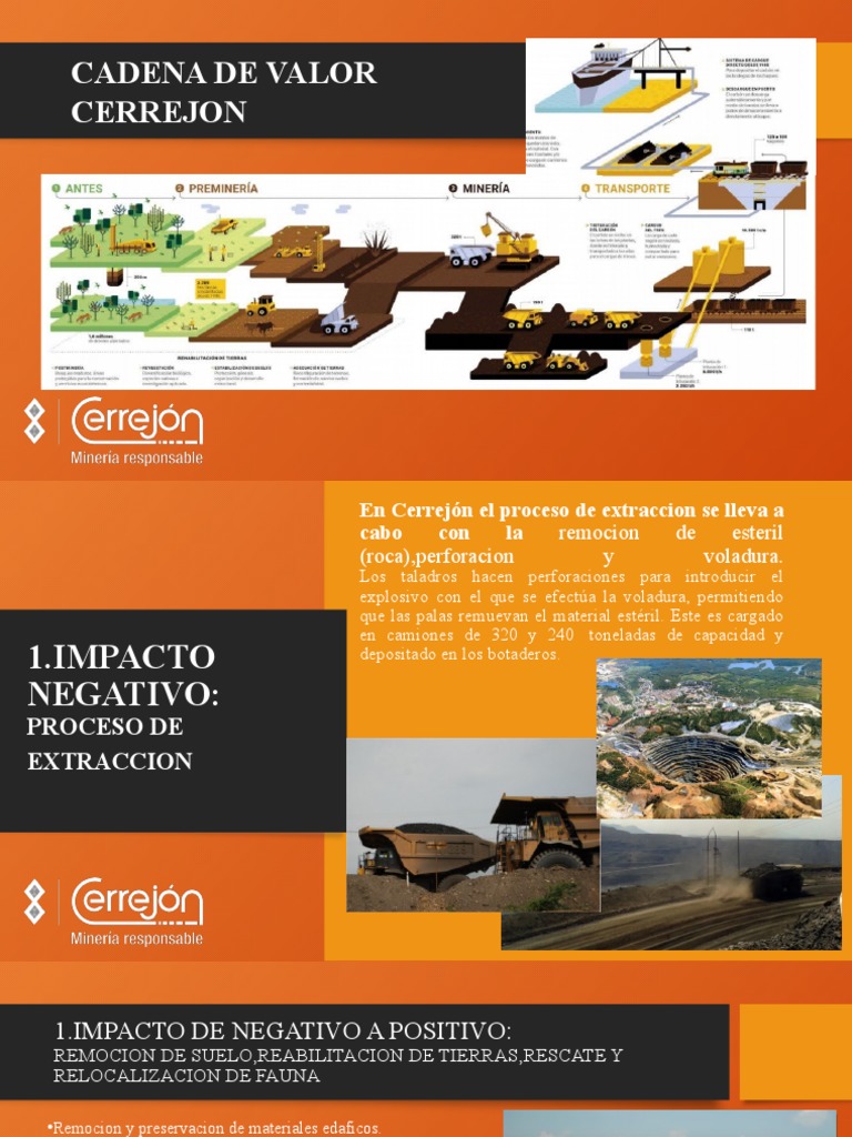 Cadena de Valor | Descargar gratis PDF | Minería | Riego
