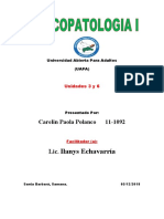 Tarea 6 de psicopatologia I.docx