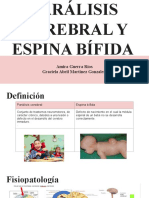 Paralisis Cerebral y Espina Bifida