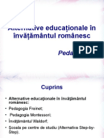 Alternative educaționale in invatamantul românesc.ppt