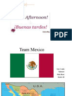HOLA (Hello) - Cultural Insights from Team Mexico