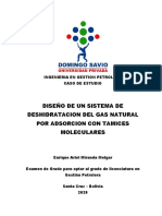 DESHIDRATACION DEL GAS NATURAL POR ADSORCION CON TAMIZ MOLECULAR - copia.docx