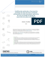 Tesis n5480 Arzeni PDF