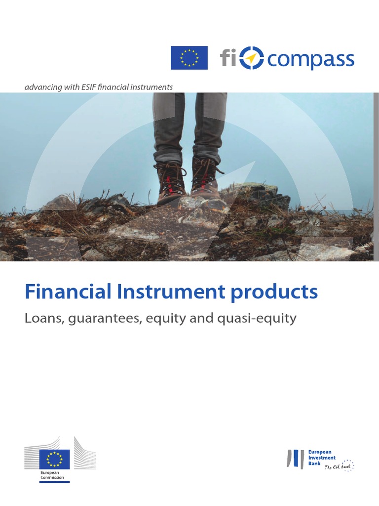 Financial Instrument Products: Loans, Guarantees, Equity and Quasi ...